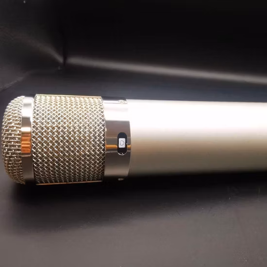 Mikrofon PRO