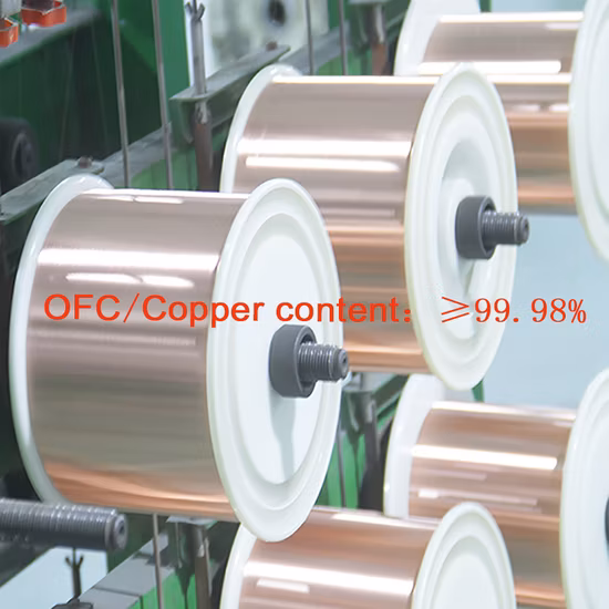 2. Kupferleiter, PVC-Isolierung, elektrischer Lautsprecher, flexibler Draht (FS).